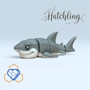 Shark Hatchling Studio
