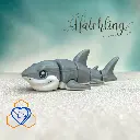 Shark Hatchling Ocean