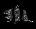 Cat_Packing_Puzzle_4_ac630db3e4.webp