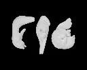 Cat_Packing_Puzzle_3_78159cc8de.webp
