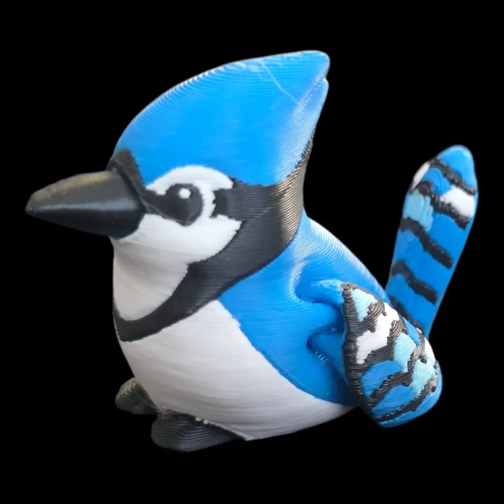 Blue Jay Hatchling 