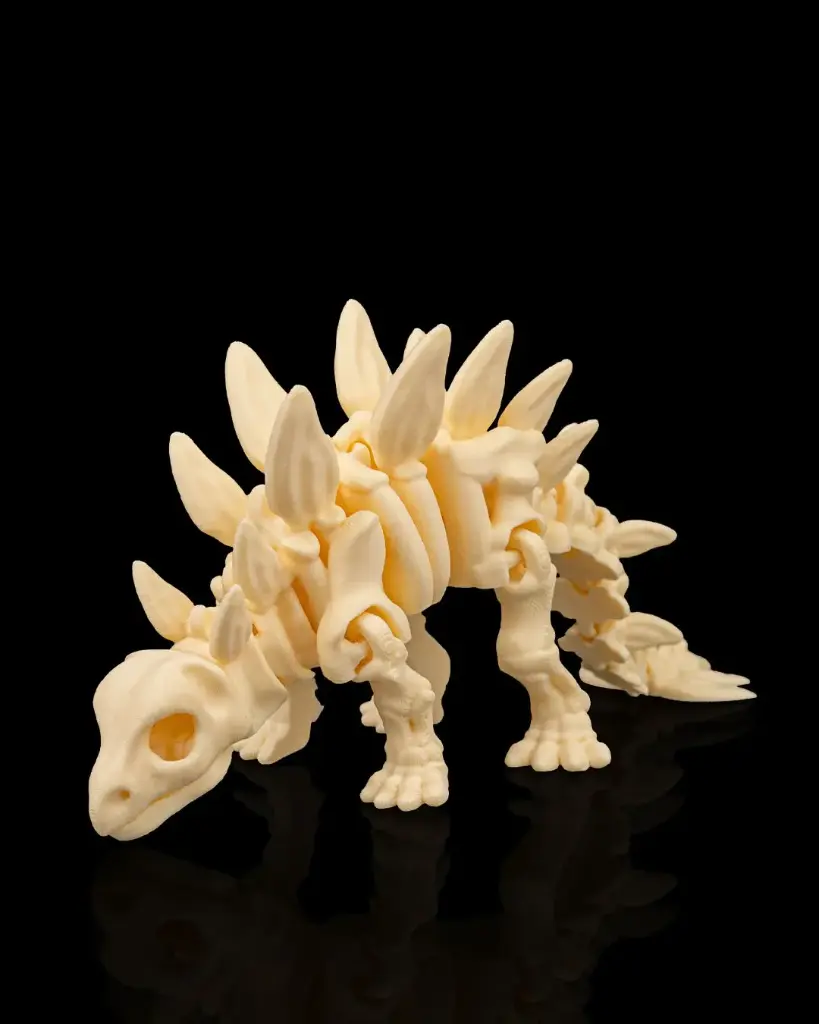 Stegosaurus Skeleton Fossil