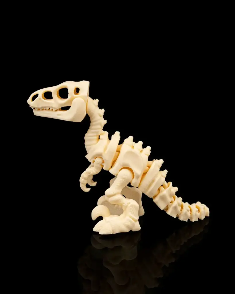 Velociraptor Skeleton Fossil