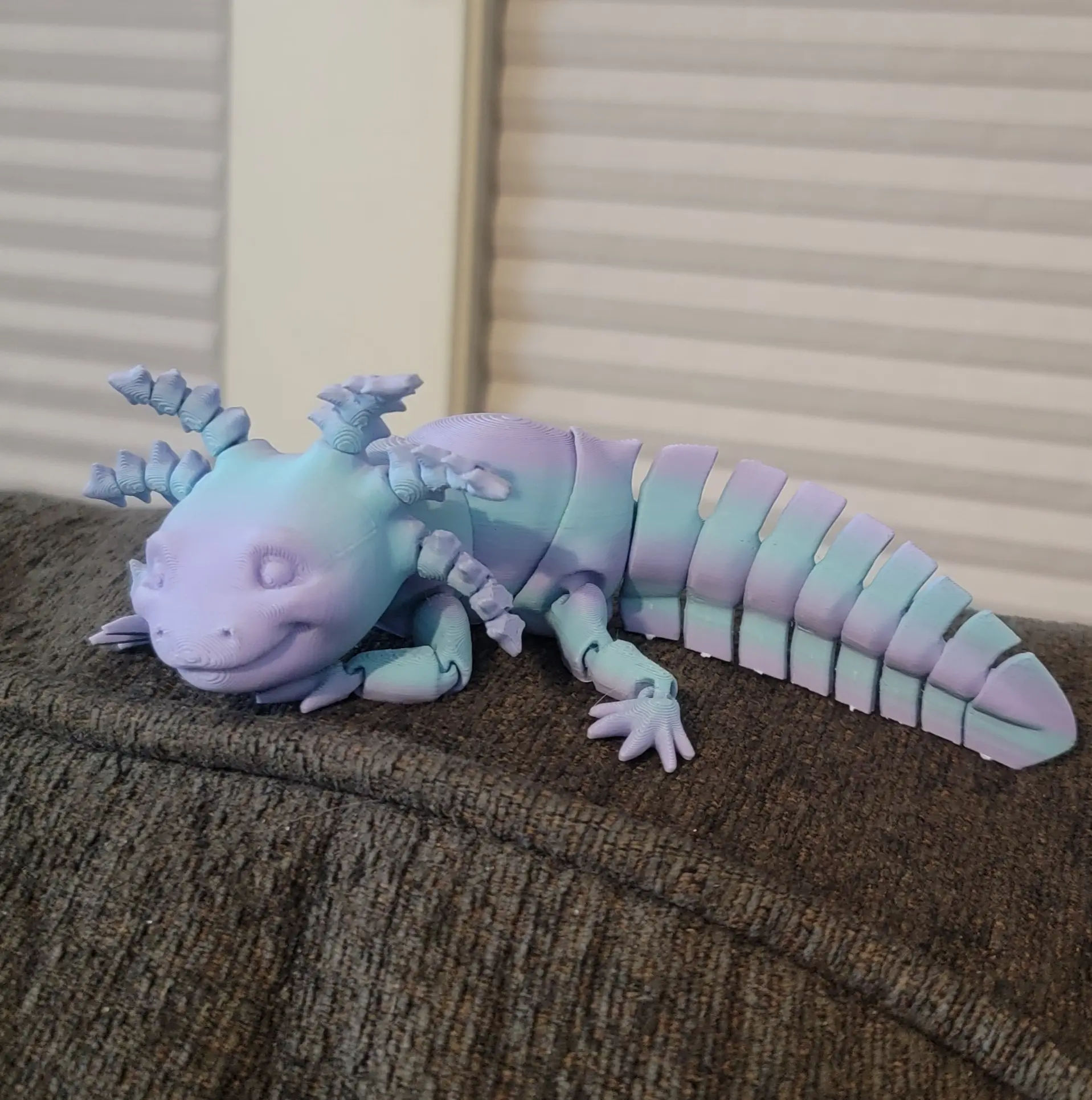 Axolotl
