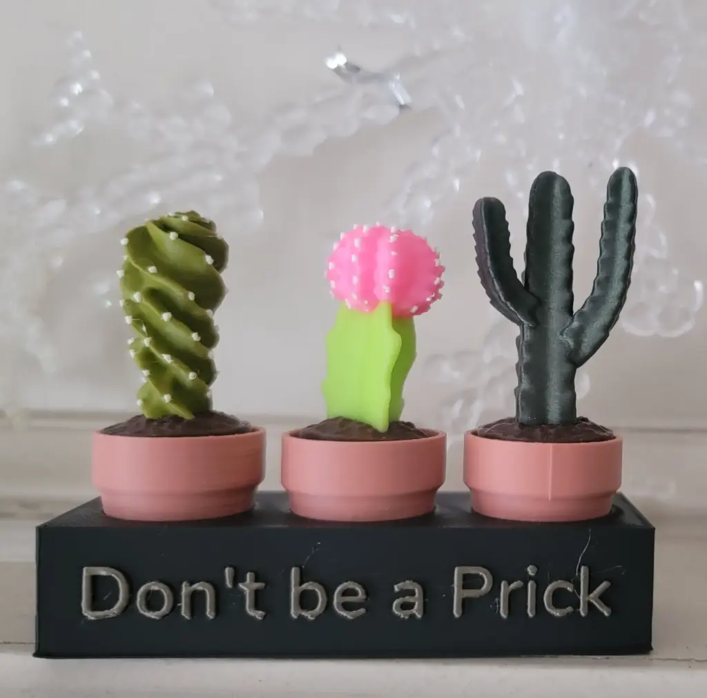 Succulent Stand