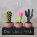 Succulent Stand