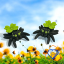 Clover Spider
