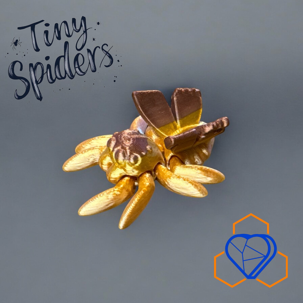 Tiny Fairy Spider