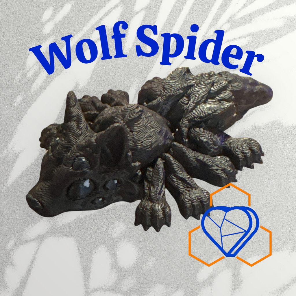 Wolf Spider