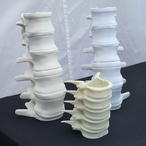 Spine Candle Holder