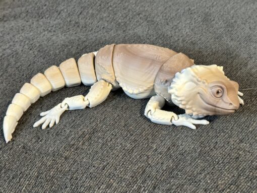 Bearded Dragon - Image 2