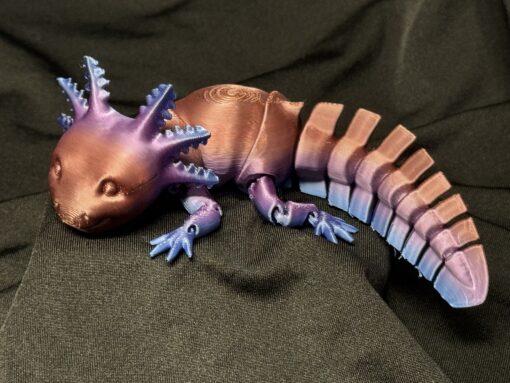 Axolotl - Image 3