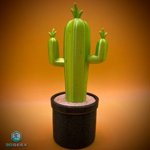 Cactus Holdup - Image 3