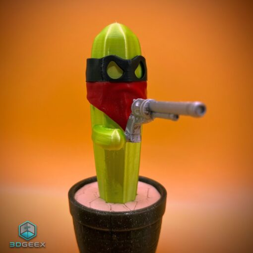 Cactus Holdup - Image 4