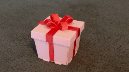 Surprise Gift Box